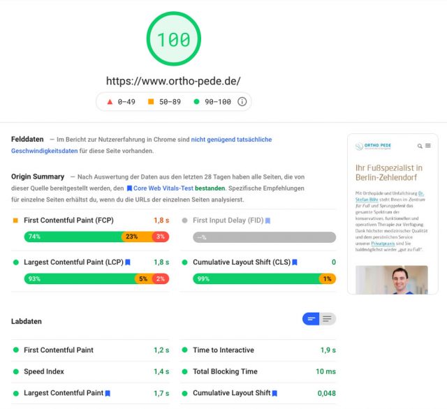 Ergebnis Google Page Speed Insights ortho-pede.de: nachher, 100 Punkte.